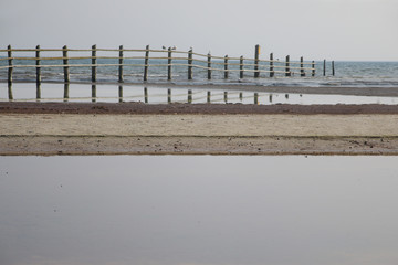 Ostsee Prerow Vogelschutzgebiet