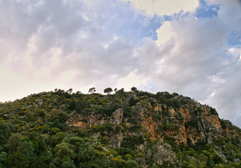 Hill top with lush vegetation under cloudy sky.