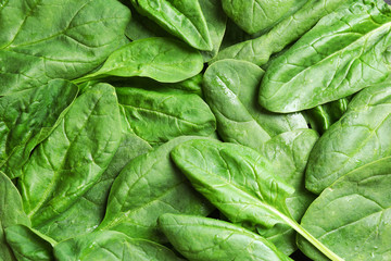 Fresh green healthy spinach as background, closeup view