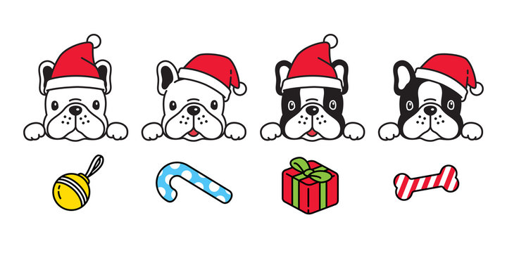 dog vector Christmas Santa Claus hat french bulldog puppy pet icon character cartoon symbol breed illustration design