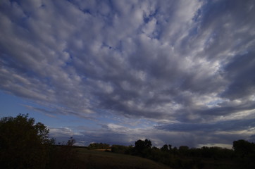 Obraz premium nature