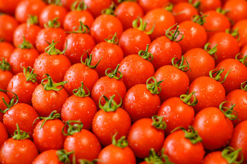 ripe juicy red cherry tomatoes  with leaves