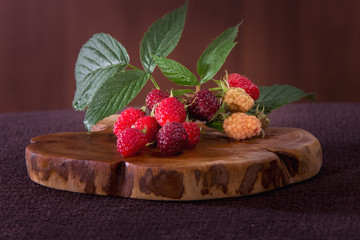 Freshly raspberries pickled from organic culture