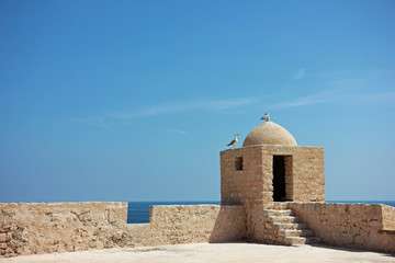 Two seagulls at ribat in Tunisia