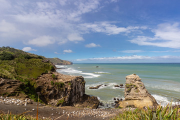 Gannet colony at Muriwai beach, New Zealand