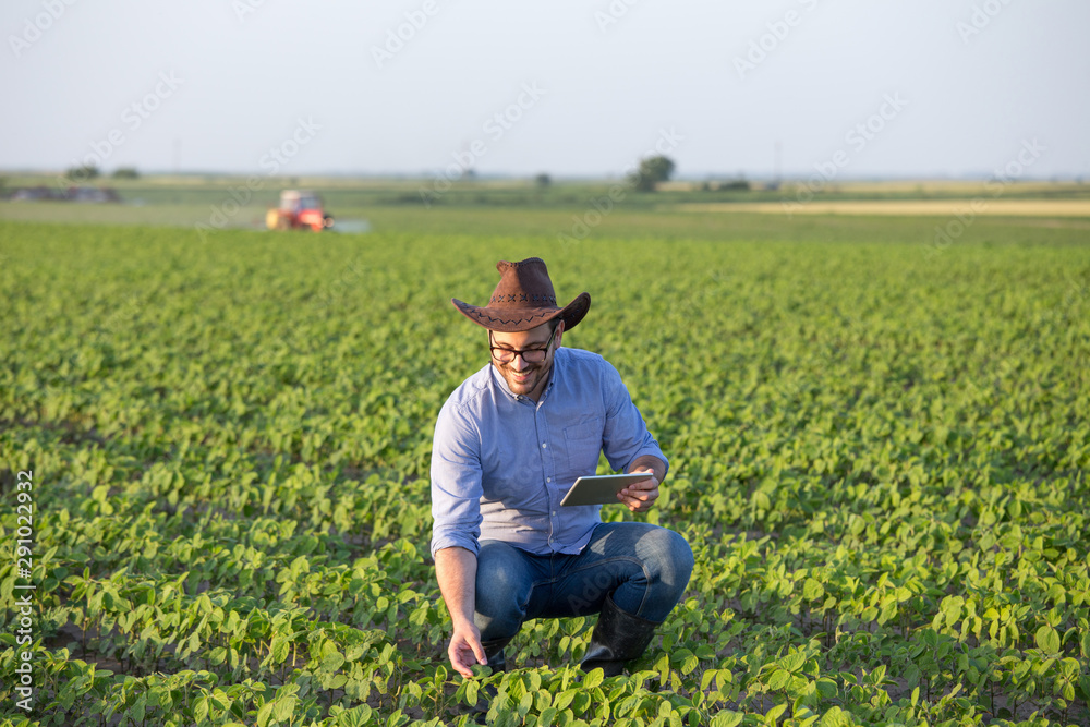 Wall mural farmer with tablet in soybean field