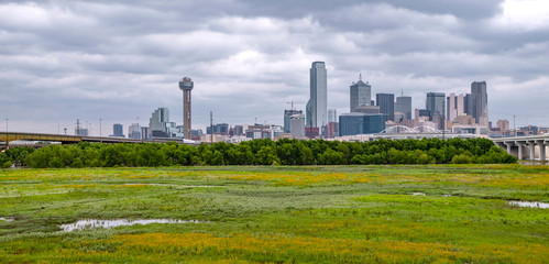 Fototapeta na wymiar Dallas skyline at twilight
