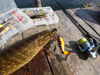 Fototapeta wędkowanie z pomostu nad jeziorem. Złowione ryby  przynęty. Tło wędkowanie. obraz