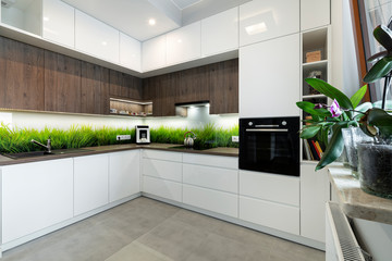 Modern interior design - kitchen