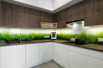 Modern interior design - kitchen