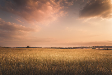 golden hour sunset with hay field under clouds in gloucestershire