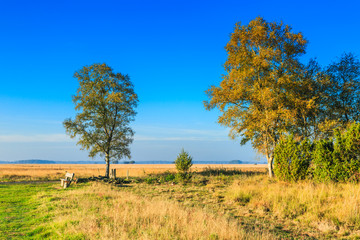 National Park Dwingelderveld in the Dutch province of Drenthe is a vast nature reserve in original landscape with grass paths, birch trees, oaks and the rare wild juniper bush