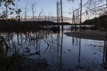 Natural reflections in water of trees at the Mechelse heide (english: Mechelse Meadow) during sunset