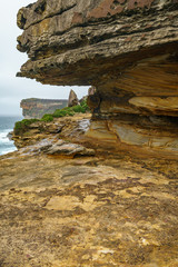 hikink in the royal national park, eaglehead rock, australia 19