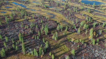 Top view of the Yamal tundra in Russia at full calm in autumn