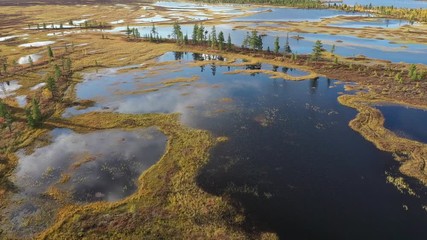 Top view of the Yamal tundra in Russia at full calm in autumn