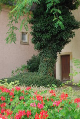 Fototapeta na wymiar House with flowers in Luxembourg