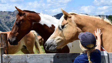 Mädchen mit blonden Haaren streichelt zwei Pferde auf einer Alm in Südtirol