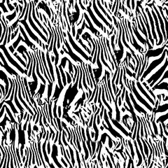 Zebra skin pattern seamless design 