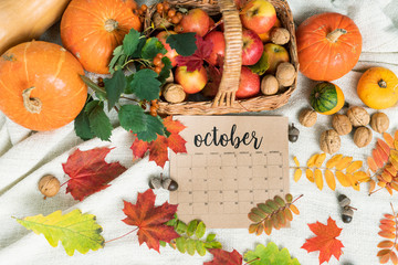 Top view of walnuts and ripe apples in basket, pumpkins, acorns and leaves