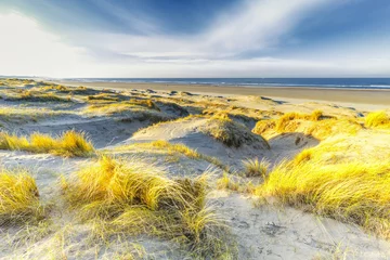 Foto auf Leinwand Winters dune landscape at Dutch North Sea beach during early sunrise with golden yellow floodlight on waving Marram grass and dune tops with shadows in the valleys © photodigitaal.nl