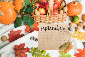 September background with ripe apples and pumpkins, walnuts, acorns and leaves