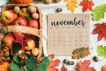 Calendar list of November with ripe apples, walnuts, acorns and colorful leaves