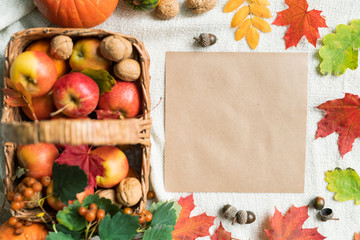 Top view of blank paper among autumn leaves, acorns, walnuts and ripe apples