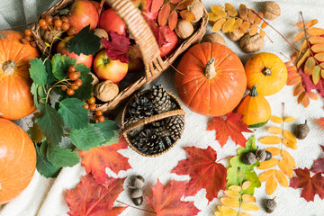 Basket with apples, pumpkins, autumn leaves, acorns, walnuts and firtree cones