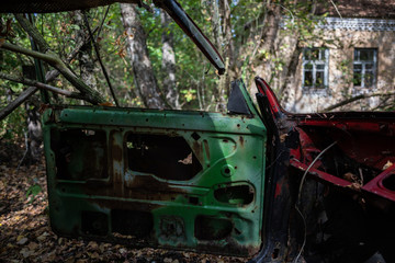 Old abandoned car door in forest