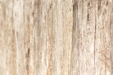 Fototapeta na wymiar texture of old wood used as natural background