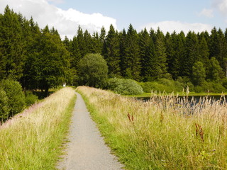 Straight and narrow path alongside reservoir in Harz Germany