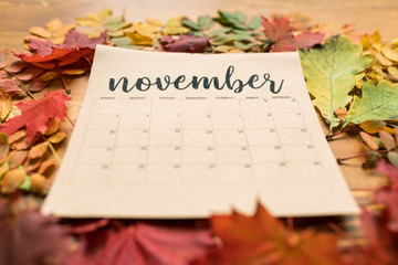 November calendar on paper sheet surrounded by autumn leaves of vivid colors