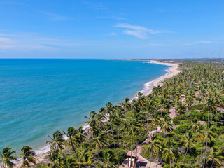 Aerial view of tropical beach and turquoise clear sea water with small waves and palm trees.