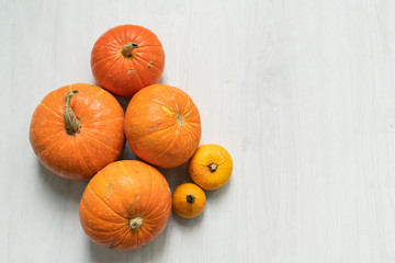 Group of ripe orange big and small pumpkins on white background in isolation