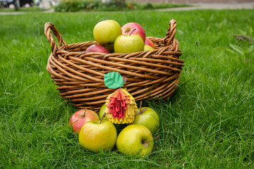 Apple harvest background, wicker basket on green grass, top view papercraft origami art with red berries