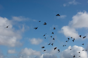 Take Off