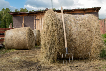 Three huge stacks of fresh hay and hayfork by one of them on background of barn