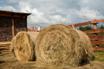 Two huge rolled stacks of fresh hay and hayfork by barn and wooden fence