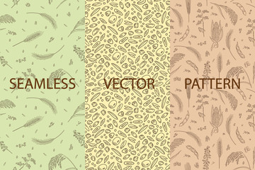Vector set of packaging design templates, seamless patterns