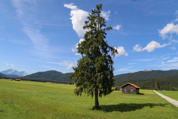 Mountain huts on green meadows in the Alps