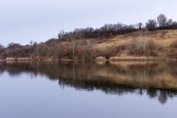Beautiful reflections of birch trees and reed in calm lake water with a lot of space for text