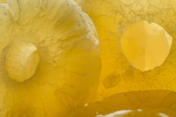 Diet product. Dried pineapple candy rings, close-up. Pineapple for weight loss.