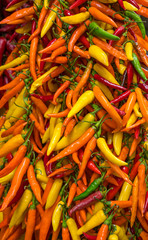 red and yellow peppers