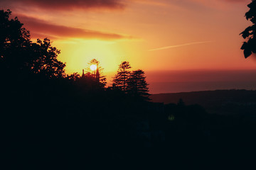 Red sunlight yellow light with shadow of dark trees