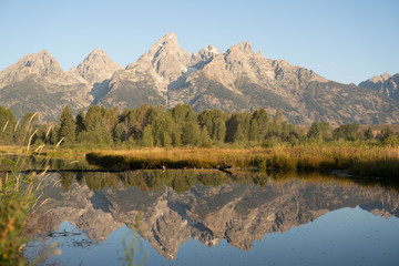 Obraz premium Rocky peaks of the Grand Tetons reflected in the river