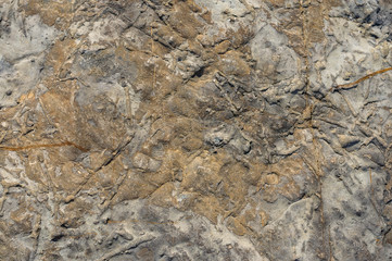 Obraz na płótnie Canvas Colorful natural stone texture close-up. 