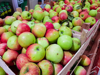 Assortment of fresh apple fruits at market.