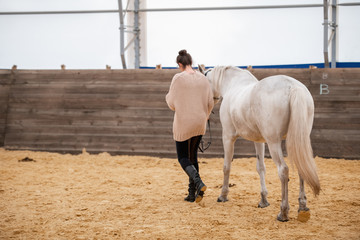 Young woman holding bridles of white racehorse while moving down sandy arena