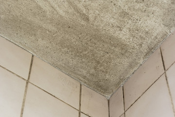 Spot of mold, mould, mildew or fungas on corner of ceiling above dirty tile pale pink wall.